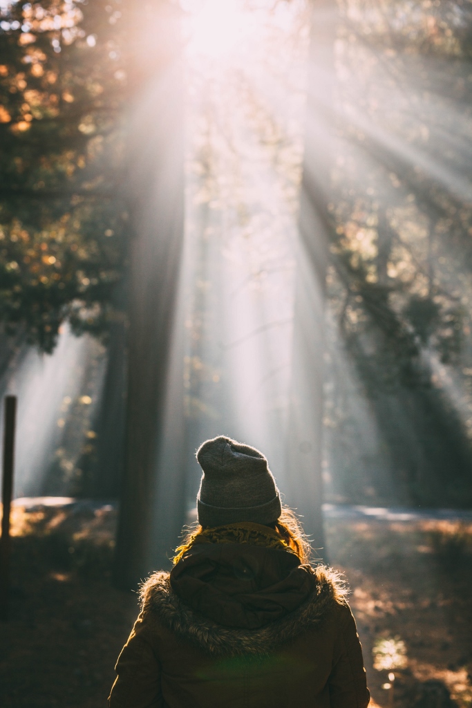 girl in toque walks towards sunlight in forest